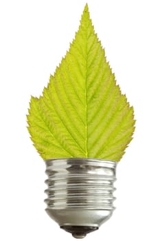 green energy concept. light bulb with leaf,isolated on white background