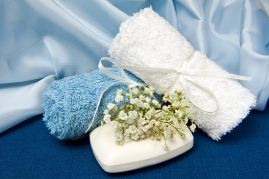 natural products for body care on colored background