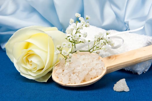 natural products for body care on colored background