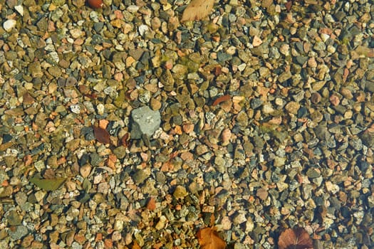 small colored pebbles in the water in the pond. texture. High quality photo