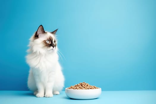 White cat with a bowl of cat food on a blue background. Studio photography. High quality photo