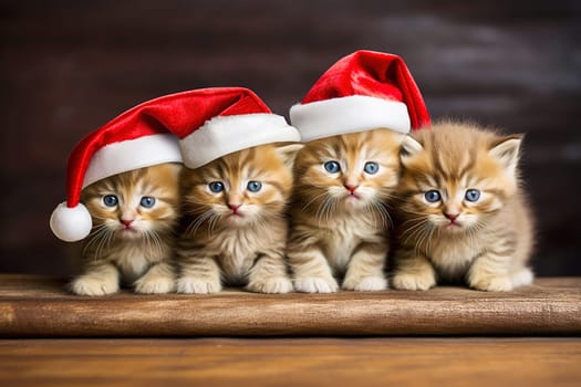 Red kittens in New Year's hats for Christmas. High quality photo