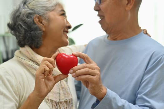 Happy elderly couple holding a red heart shape as a symbol health care, love and insurance.