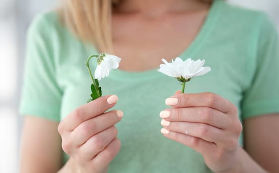 woman is holding one blooming chamomile and one wilting. Youth old age concept