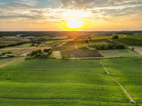 Aerial view campaign at sunrise, Entre deux mers, Gironde. High quality photo