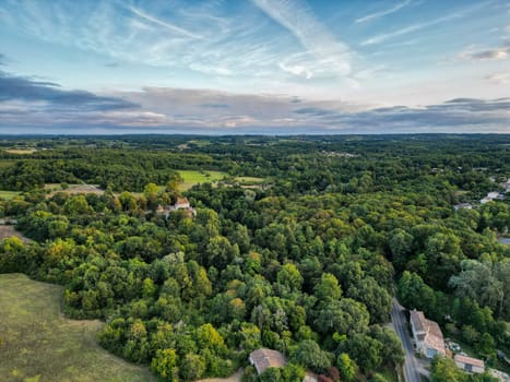 Aerial view Bordeaux Forest and Vineyard at sunrise, Entre deux mers, Gironde. High quality photo