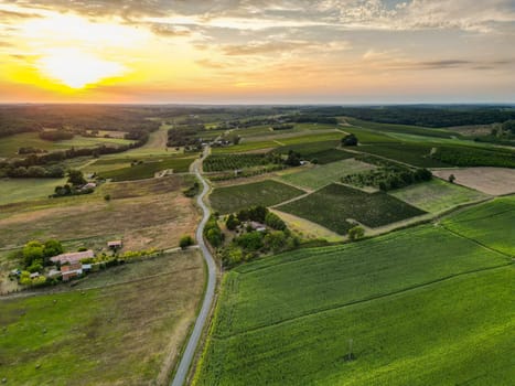 Aerial view campaign at sunrise, Entre deux mers, Gironde. High quality photo