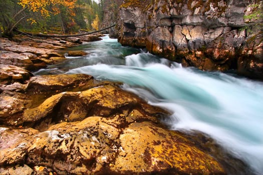 Cascading waters through Maligne Canyon of Jasper National Park in Canada.