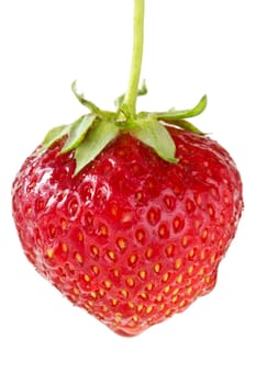 Red strawberries berry isolated on white background