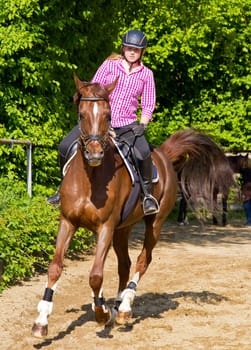 Gallop