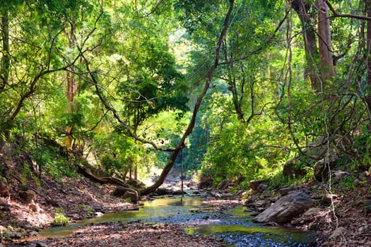 river through the forest in northern  thailand