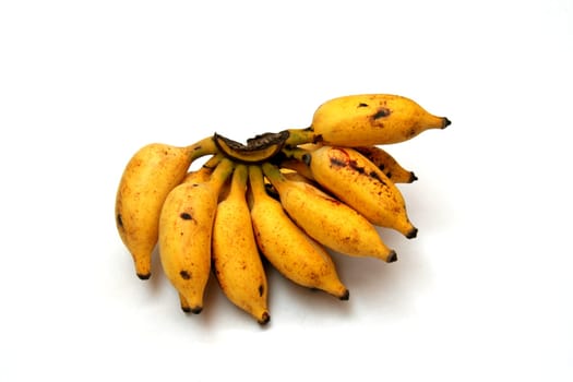 Bunch of long, curved, ripe banana fruits with white, soft, pulpy flesh and yellow skin isolated on white background