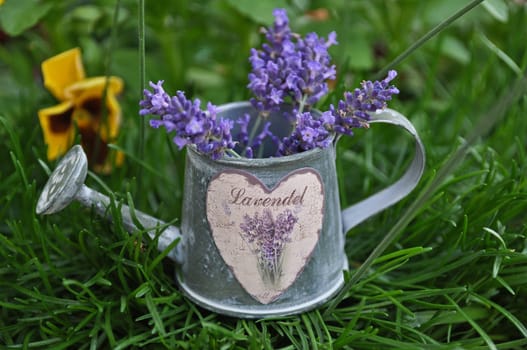 Lavender Jug