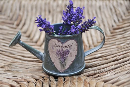 Lavender Jug