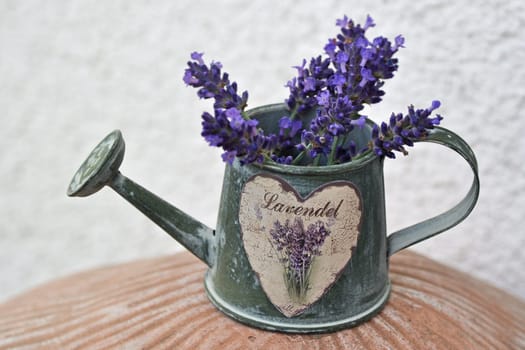 Lavender Jug
