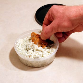 Hand of a caucasian male seen dipping a blue corn chip that has melted mozzarella cheese on it into a container of blue cheese crumbles.