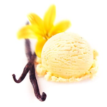 Vanilla pods and flower with a delicious scoop of rich creamy icecream served for a refreshing summer dessert