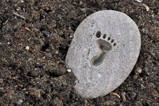 Footprint