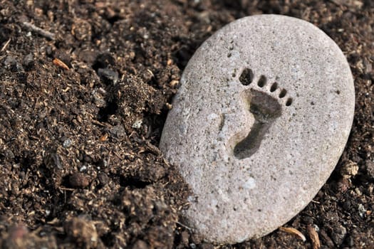 Footprint