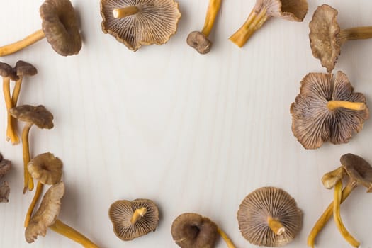 Craterellus cornucopioides, or horn of plenty, trumpet chanterelle mushroom, edible on wooden background.