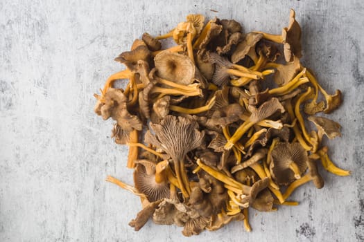 Craterellus cornucopioides, a bunch of trumpet chanterelle, edible mushroom banner