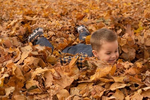 Autumn concept. A small, handsome and emotional boy in a plaid shirt and overalls lies cheerfully in the autumn yellow leaves in the park. Soft focus. Close-up.