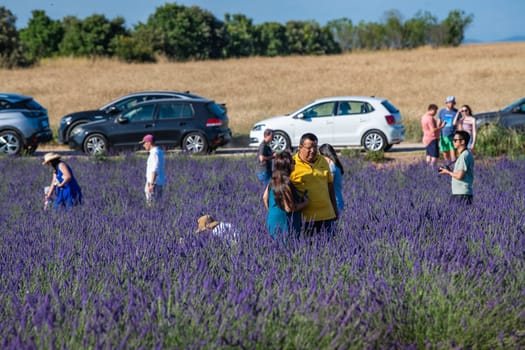 VALENSOLE, FRANCE - June 28, 2023: Many tourists taking photos in sunflower and lavender fields near Valensole, France, High quality photo