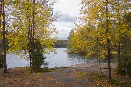 Noux national park during the autumn months in Finland, forest, clean ecology.