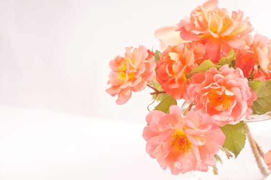 Bouquet of orange shrub roses in glass vase