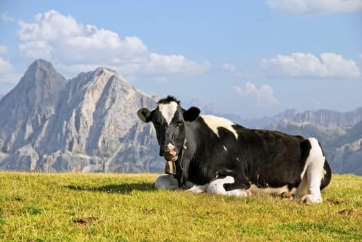 On the Gabler Alm on the Plosen in the Puez-Odle Nature Park,Funes Valley,Suedtitol,Italy