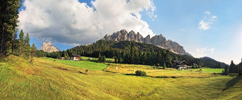 Edelweiss and Halsl Hut on the Aferer Geisler in the Puez-Odle Nature Park,Funes Valley,Suedtitol,Italy