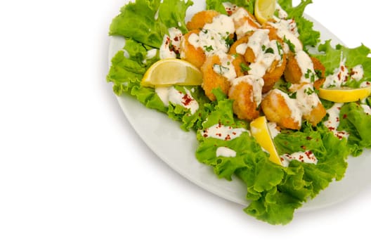 Chicken piecies on the plate