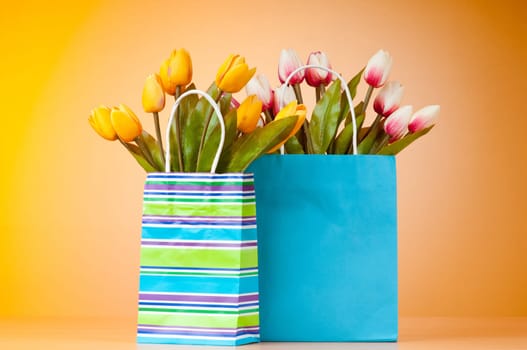 Tulips in the bag against gradient background