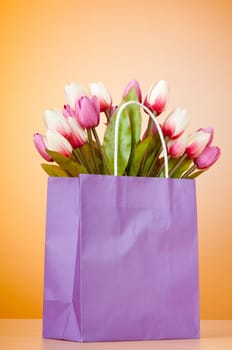 Tulips in the bag against gradient background