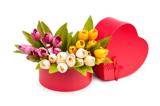 Giftbox and tulips isolated on white
