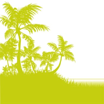 Palm beach