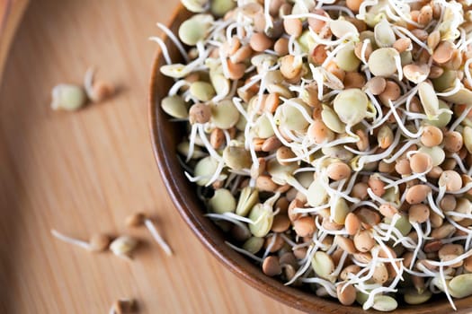 Mixed brown and green sprouted lentils in a wooden bowl.