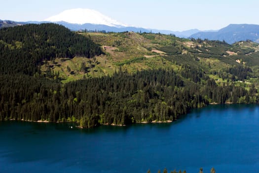 Expansive view of large lake and forest with some clear cut hills and snow capped Mount St Helens in the background.