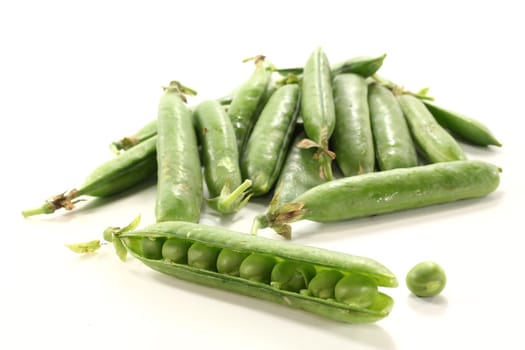 fresh vegetables against white background