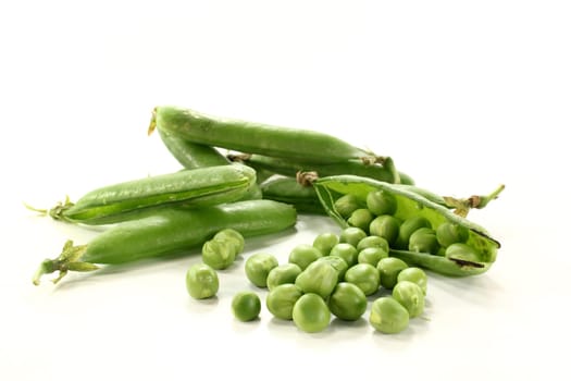 fresh vegetables against white background