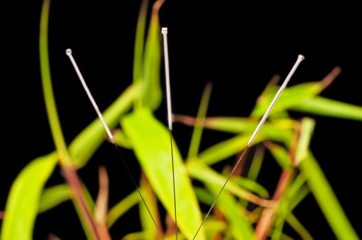 Acupuncture needles