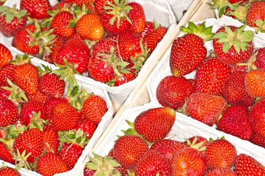 Strawberries