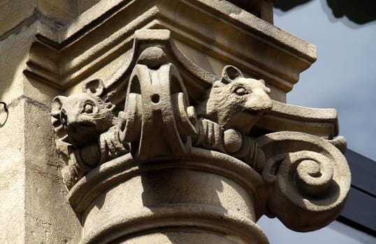 Rats at a house in Hamelin