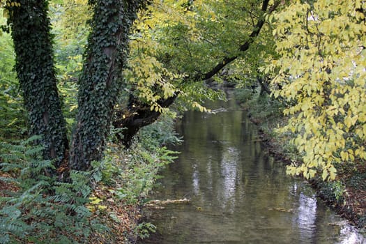 The Hamel in Hamelin
