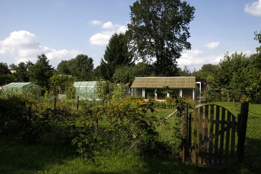 Allotment gardens in Rinteln