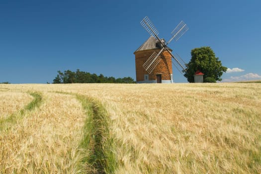 Brick windmill in a field of corn. Blue sky in the background. (Chvalkovice, Czech Republic)