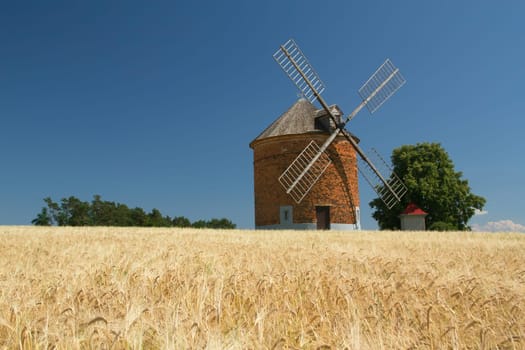 Brick windmill in a field of corn. Blue sky in the background. (Chvalkovice, Czech Republic)