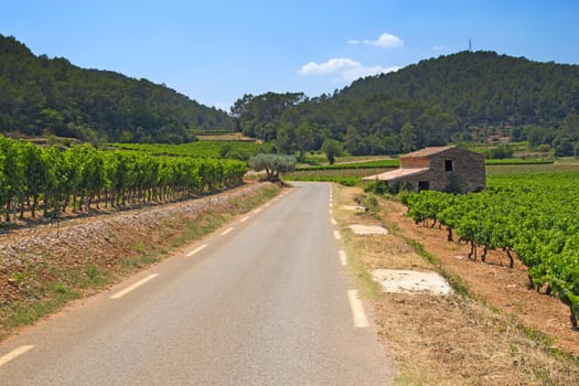 The road through the vineyards. The stone house on the roadside. (Provence, France)