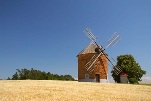 Brick windmill in a field of corn. Blue sky in the background. (Chvalkovice, Czech Republic)