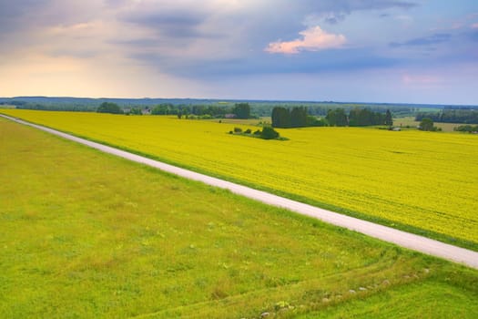 Long road over green field on windy weather